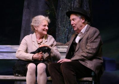 The Last Romance